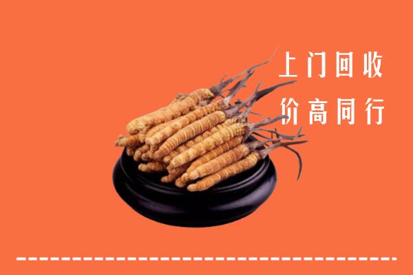 卫辉市回收散虫草